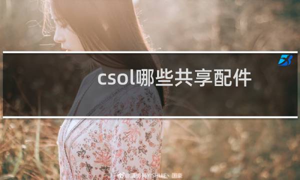 csol哪些共享配件