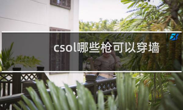 csol哪些枪可以穿墙