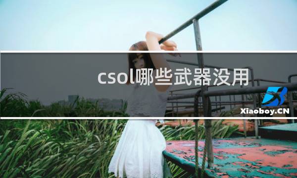 csol哪些武器没用