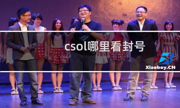 csol哪里看封号