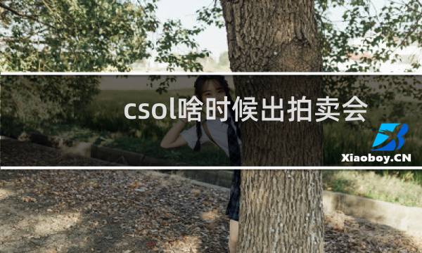 csol啥时候出拍卖会