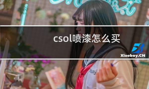 csol喷漆怎么买