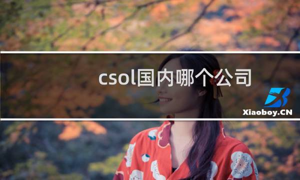 csol国内哪个公司