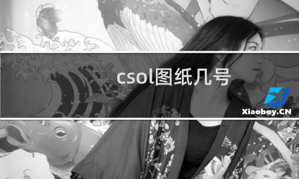 csol图纸几号