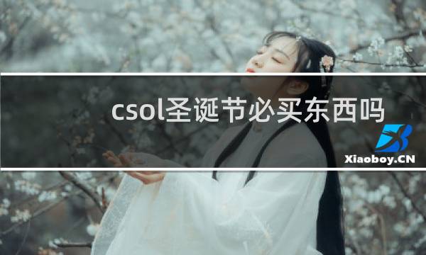 csol圣诞节必买东西吗