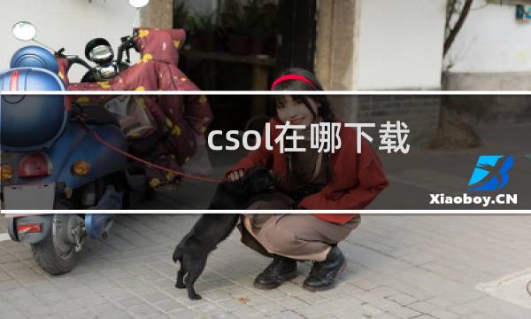 csol在哪下载