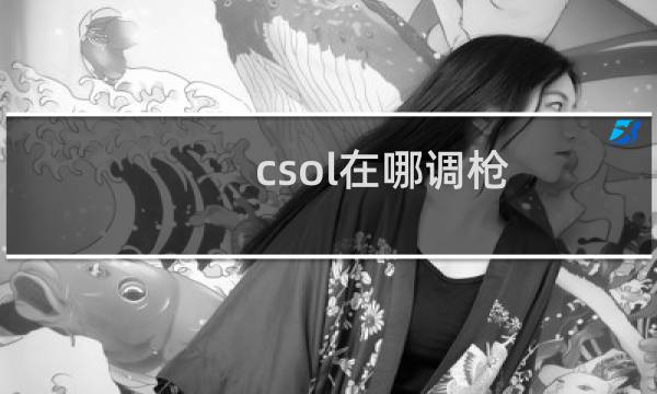 csol在哪调枪