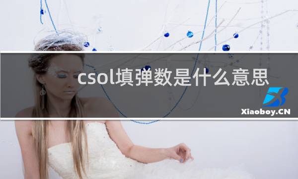 csol填弹数是什么意思