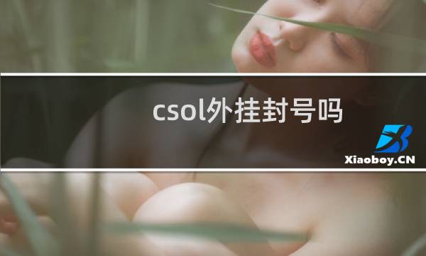 csol外挂封号吗