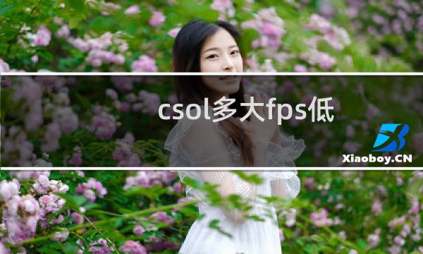 csol多大fps低