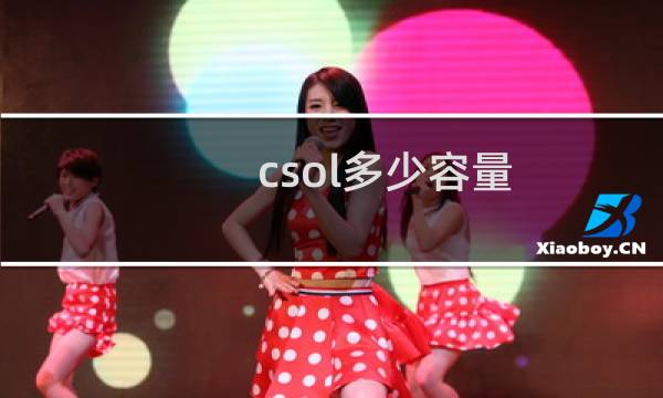 csol多少容量