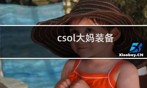csol大妈装备