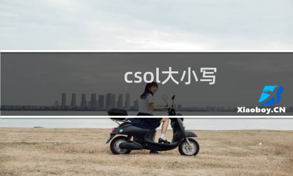 csol大小写