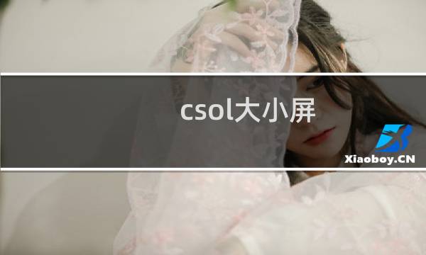 csol大小屏