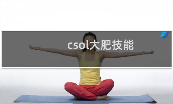 csol大肥技能
