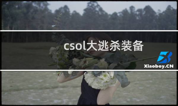 csol大逃杀装备