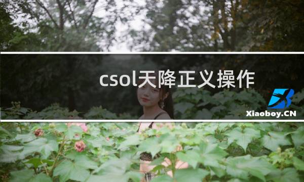 csol天降正义操作