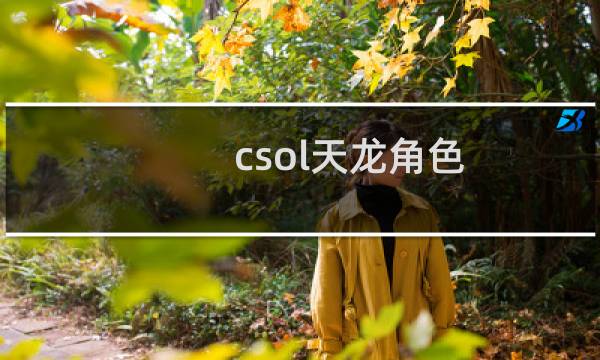 csol天龙角色