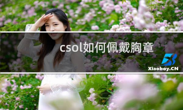 csol如何佩戴胸章