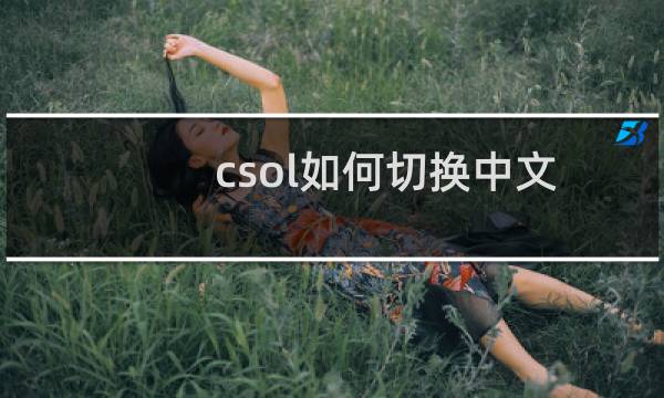 csol如何切换中文
