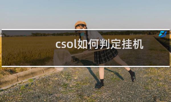 csol如何判定挂机