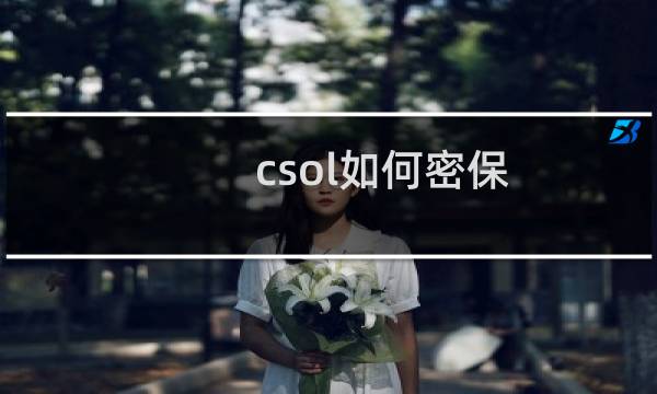 csol如何密保