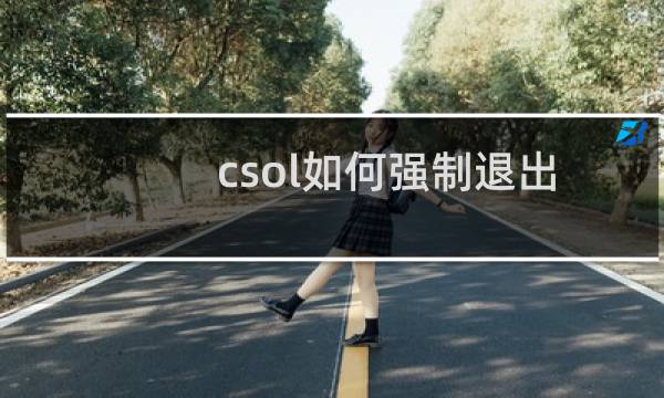 csol如何强制退出