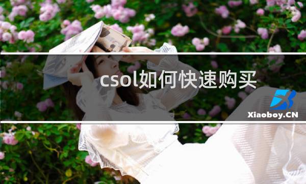 csol如何快速购买