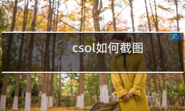 csol如何截图