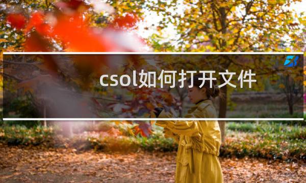 csol如何打开文件