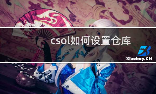 csol如何设置仓库