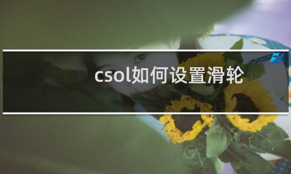 csol如何设置滑轮