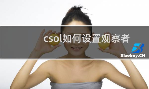 csol如何设置观察者