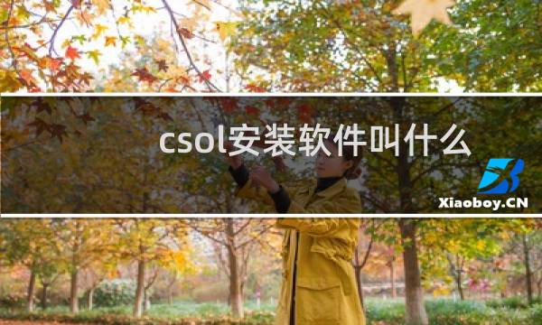 csol安装软件叫什么