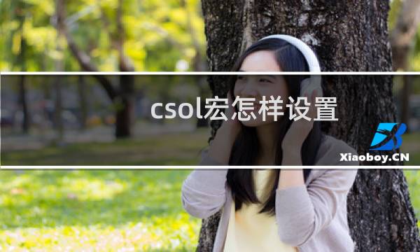 csol宏怎样设置