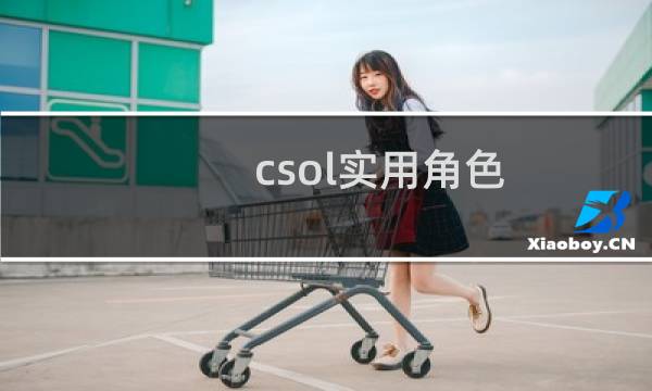 csol实用角色