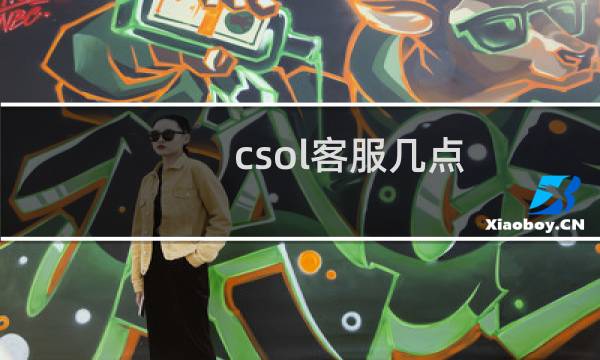 csol客服几点