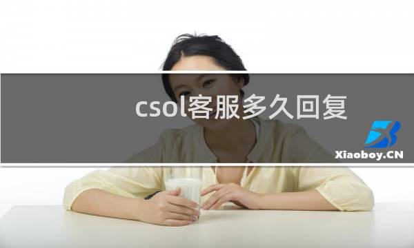 csol客服多久回复