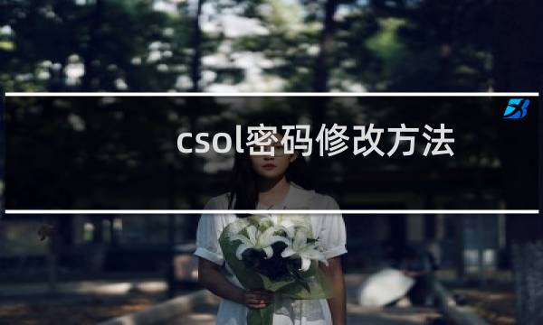 csol密码修改方法