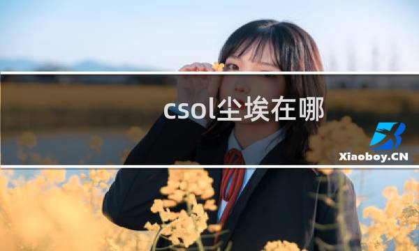 csol尘埃在哪