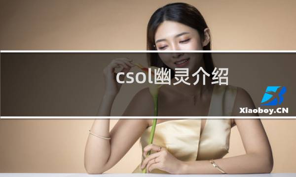 csol幽灵介绍