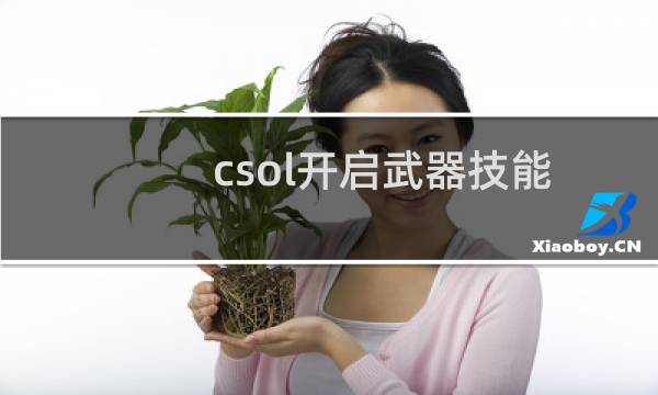 csol开启武器技能
