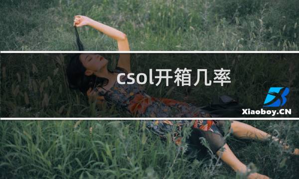 csol开箱几率