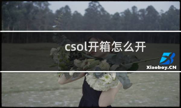 csol开箱怎么开