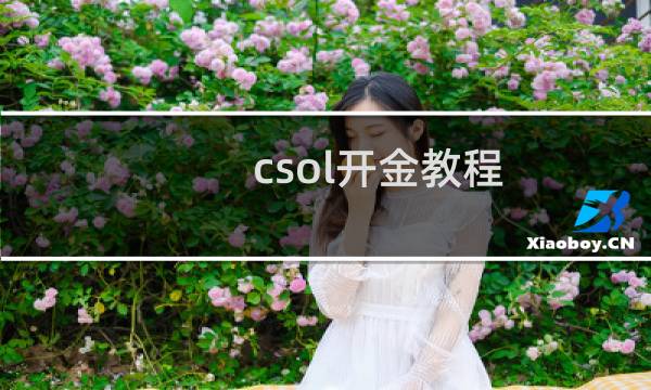 csol开金教程