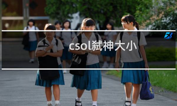 csol弑神大小