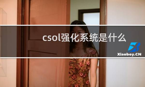 csol强化系统是什么