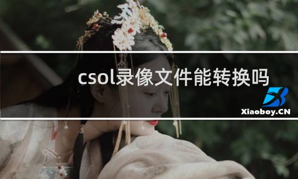 csol录像文件能转换吗