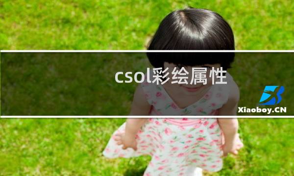 csol彩绘属性