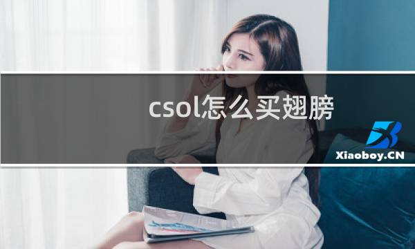 csol怎么买翅膀